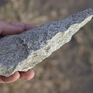 Olduvai biface stone tool C015 / 6433