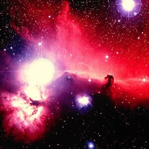 Optical image of Horsehead Nebula and sur