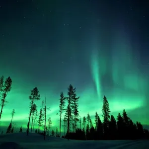 Northern Lights Print: Aurora Borealis Display Northern Lights Print: Aurora Borealis Display