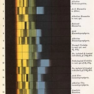 Pigment spectra, historical artwork
