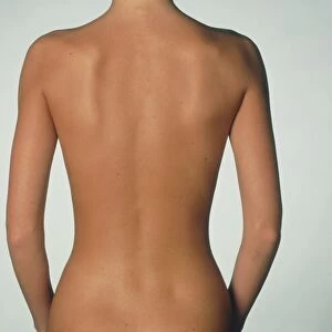 Posterior view of the torso of a standing woman