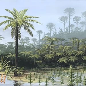 Prehistoric tree ferns, artwork
