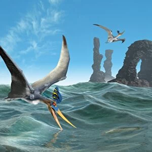 Pteranodon catching fish, artwork