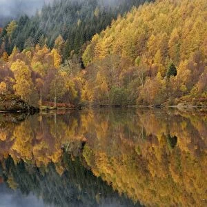 Reflections of autumn colours in loch