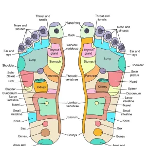 Popular Themes Jigsaw Puzzle Collection: Alternative Medicine