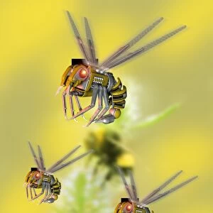 Robot insects