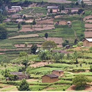 Rwandan farming C014 / 0980