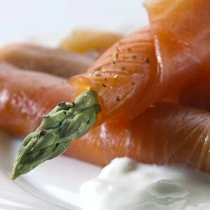 Salmon and asparagus with mayonnaise C014 / 1423