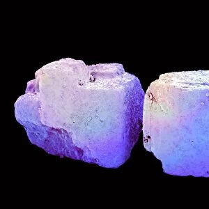 Salt crystals, SEM