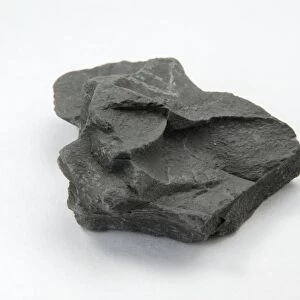 Sample of shale