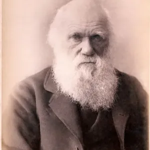 Charles Darwin at eighty years old, a print from 1879 Charles Darwin at eighty years old, a print from 1879