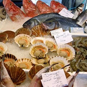 Seafood on sale at a market