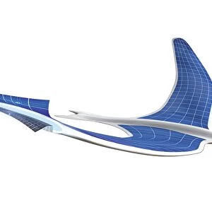 Solar-powered flapping wing