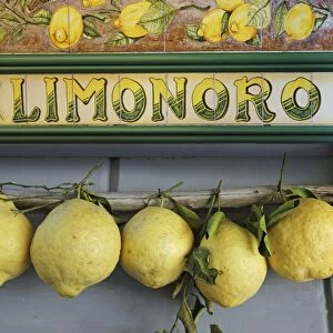 Sorrento lemons, Italy