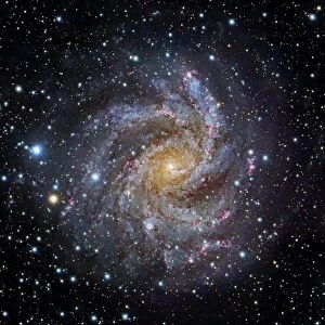 Spiral galaxy NGC 6949, optical image C017 / 3750
