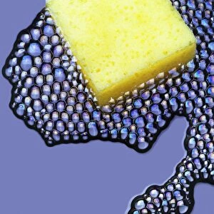 Sponge and soap bubbles
