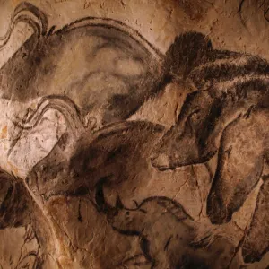 Popular Themes Jigsaw Puzzle Collection: Cave Paintings