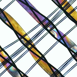 Synthetic fibre, light micrograph