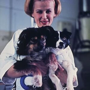 Technician holding two Soviet space dogs