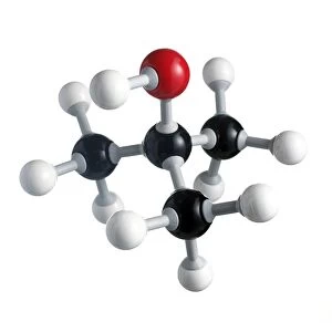 Tert-Butanol molecule
