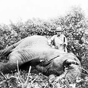 Theodore Roosevelt on safari, 1909