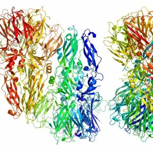 Tick-borne encephalitis virus protein