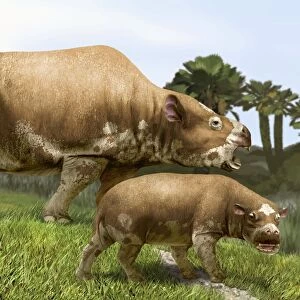 Toxodon, extinct mammal