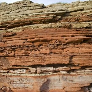 Triassic rock formations, UK C013 / 7043