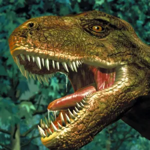 Tyrannosaurus rex dinosaur head