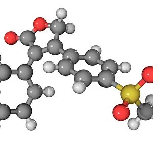 Vioxx drug molecule