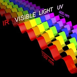 Visible light spectrum, artwork C016 / 9849