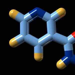 Vitamin B3 (nicotinamide) molecule