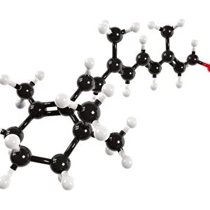 Vitamin A molecule