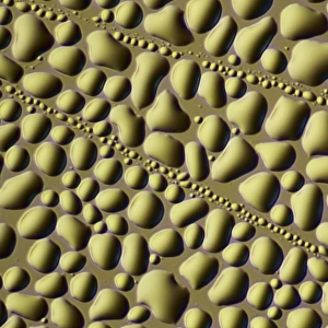 Water droplets, light micrograph
