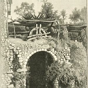 Water wheel in Egypt, 1880s C016 / 8989