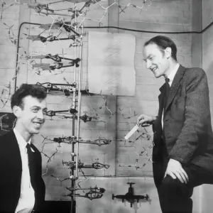Watson y Crick con su modelo de ADN