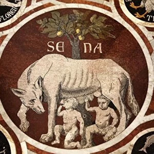 Wolf of Siena