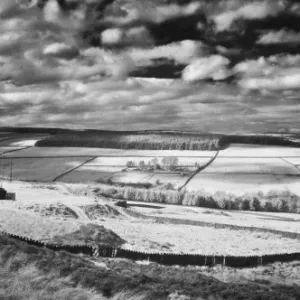 Derwent Valley Infrared Print Derwent Valley Infrared Print