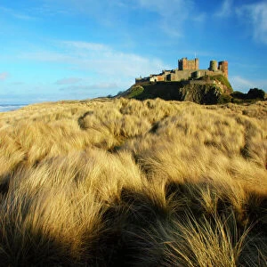 England Northumberland Bamburgh Castle. Sand dunes and vegetation near Bamburgh