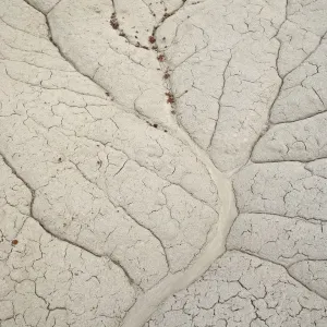 Modelli di erosione in una piccola diga del Bistri Wildnerness, Nuovo Messico Stati Uniti d'America Modelli di erosione in una piccola diga del Bistri Wildnerness, Nuovo Messico Stati Uniti d'America
