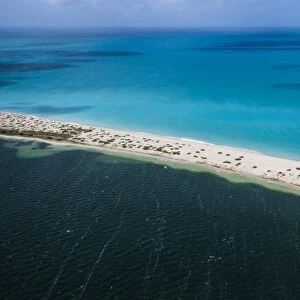 Aerial view of the color contrasts of Barbuda, tones change according to the current