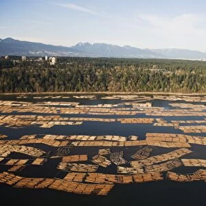 Aerial view of cut logs in the sea waiting to be transported, Vancouver
