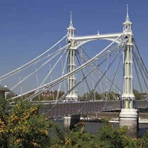 Albert Bridge over River Thames, Battersea, London, England, United Kingdom, Europe