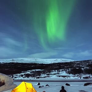 Aurora borealis (Northern lights) and winter camping on Kungsleden (The Kings Trail) hiking trail, Abisko National Park, Helsinki, Finland, Scandinavia, Europe
