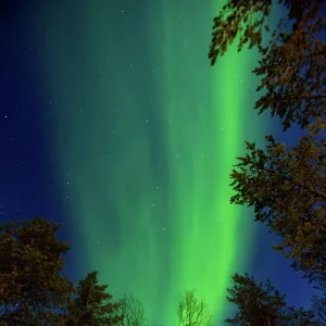 Aurora Borealis (the Northern Lights) over Kakslauttanen Igloo West Village, Saariselka