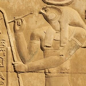 Bas relief, Temple of Sobek and Haroeris, Kom Ombo, Egypt, North Africa, Africa