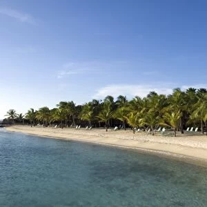 Beach at Harbour Village Resort, Bonaire, Netherlands Antilles, Caribbean