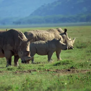 Lake Nakuru