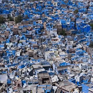 The Blue City of Jodhpur seen from the Mehrangarh Fort, Jodhpur, Rajasthan, India, Asia