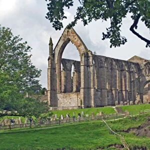 Yorkshire Collection: Bolton Abbey